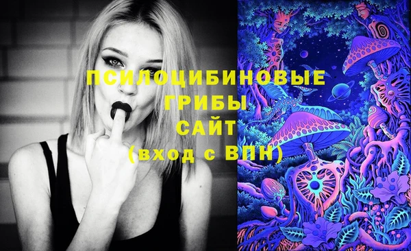 2c-b Гусь-Хрустальный