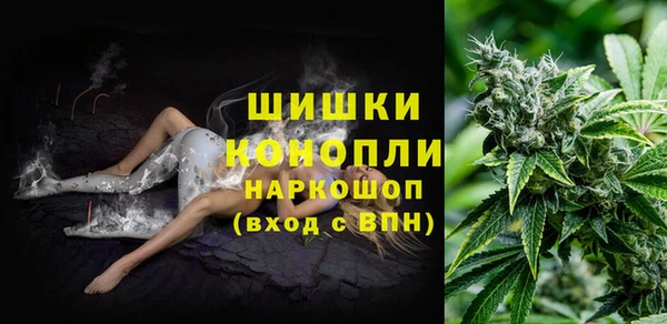 трава Гусев