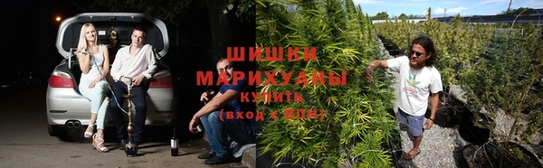 трава Гусев