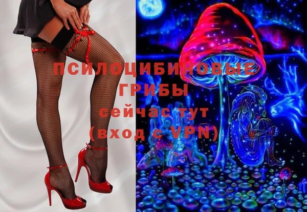 трава Гусев