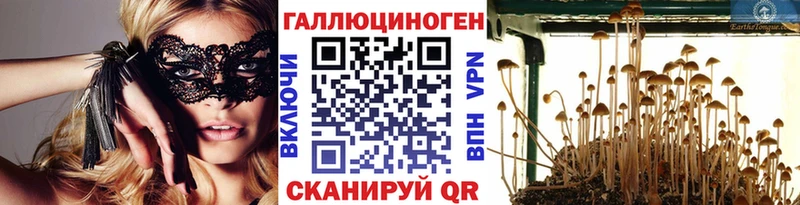 Галлюциногенные грибы MAGIC MUSHROOMS  Купить где  Клин 